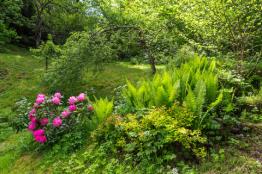 BOLU ABANT'DA GÜNLÜK KİRALIK DAĞ EVİ