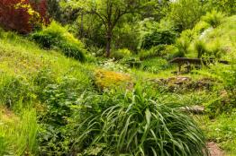 bolu abant ta Kardelen   kiralik dag evi